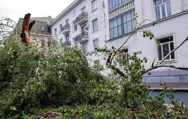 Число погибших от урагана в Марий Эл возросло